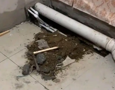 前进卫生间漏水检测哪家好