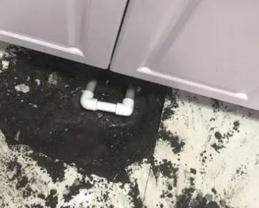 前进查漏水哪家好